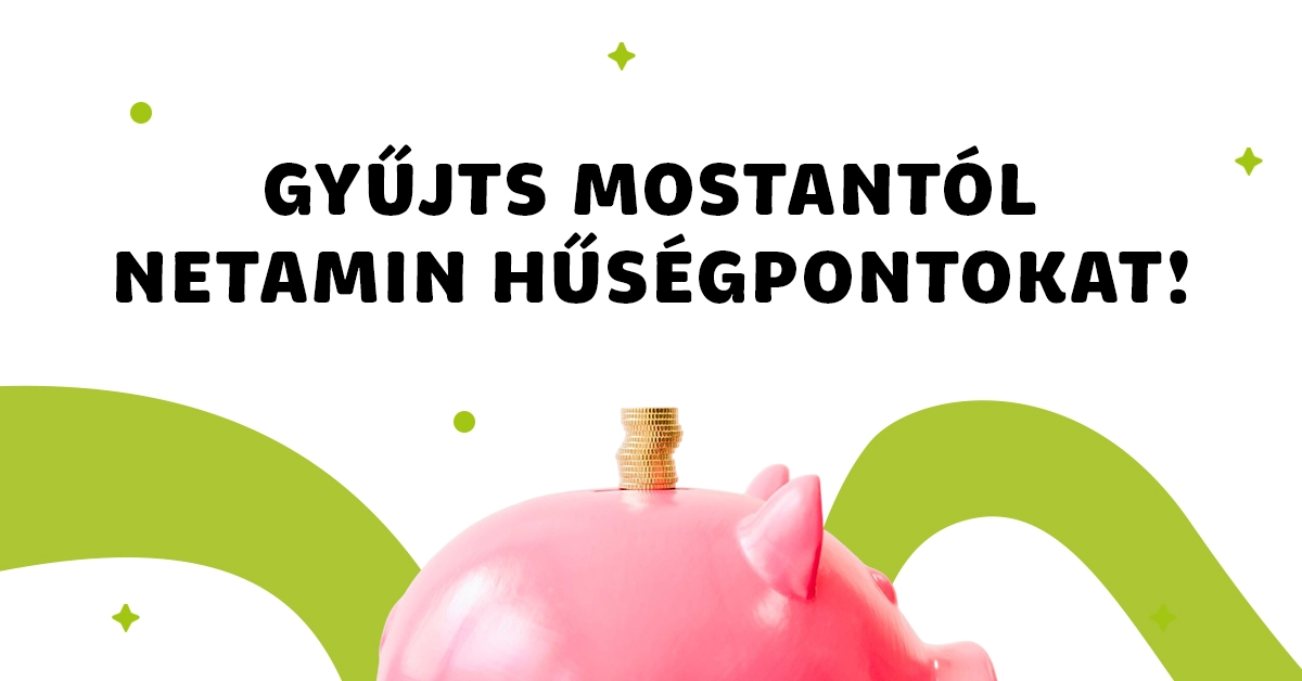 Hűségontok