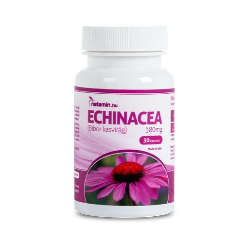 Netamin Echinacea 380mg kapszula (Bíbor Kasvirág) - OUTLET
